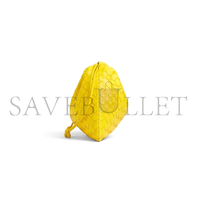 BOTTEGA VENETA DUSTBAG 796728 (32*23*1cm)